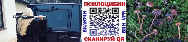 это формула Алапаевск Галлюциногенные грибы Psilocybine cubensis купить наркоту